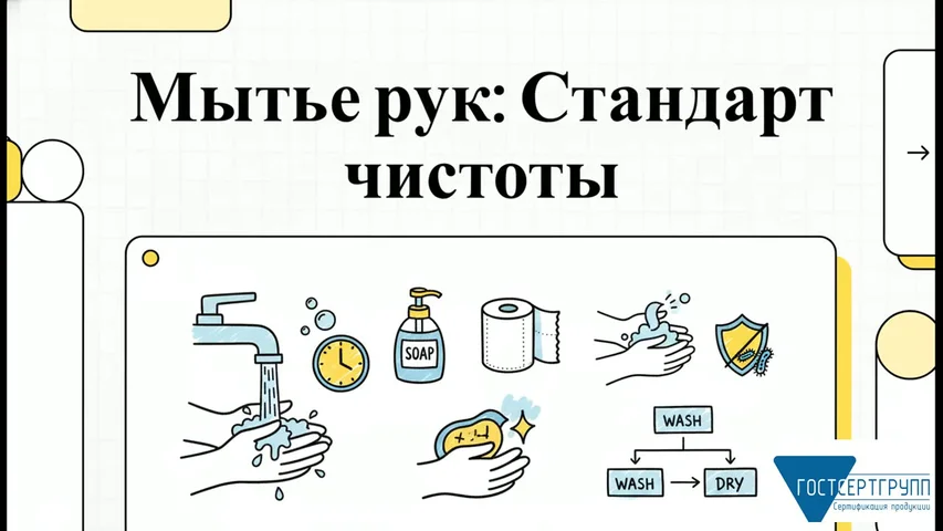 Видеоурок «Мытье рук по стандарту»