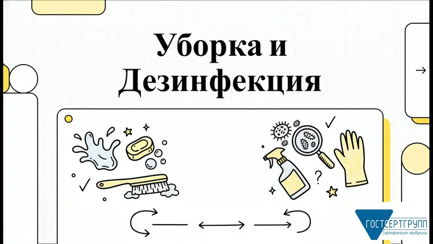 Видеоурок «Уборка и дезинфекция: разница и порядок»