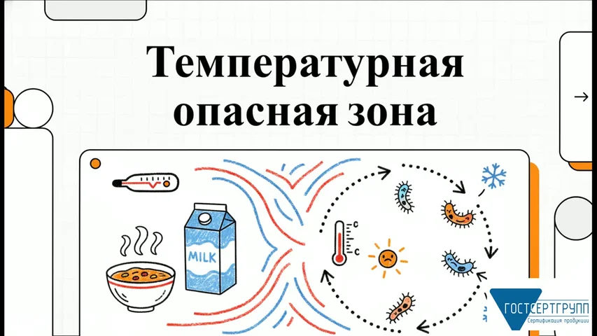 Видеоурок «Температурная опасная зона»